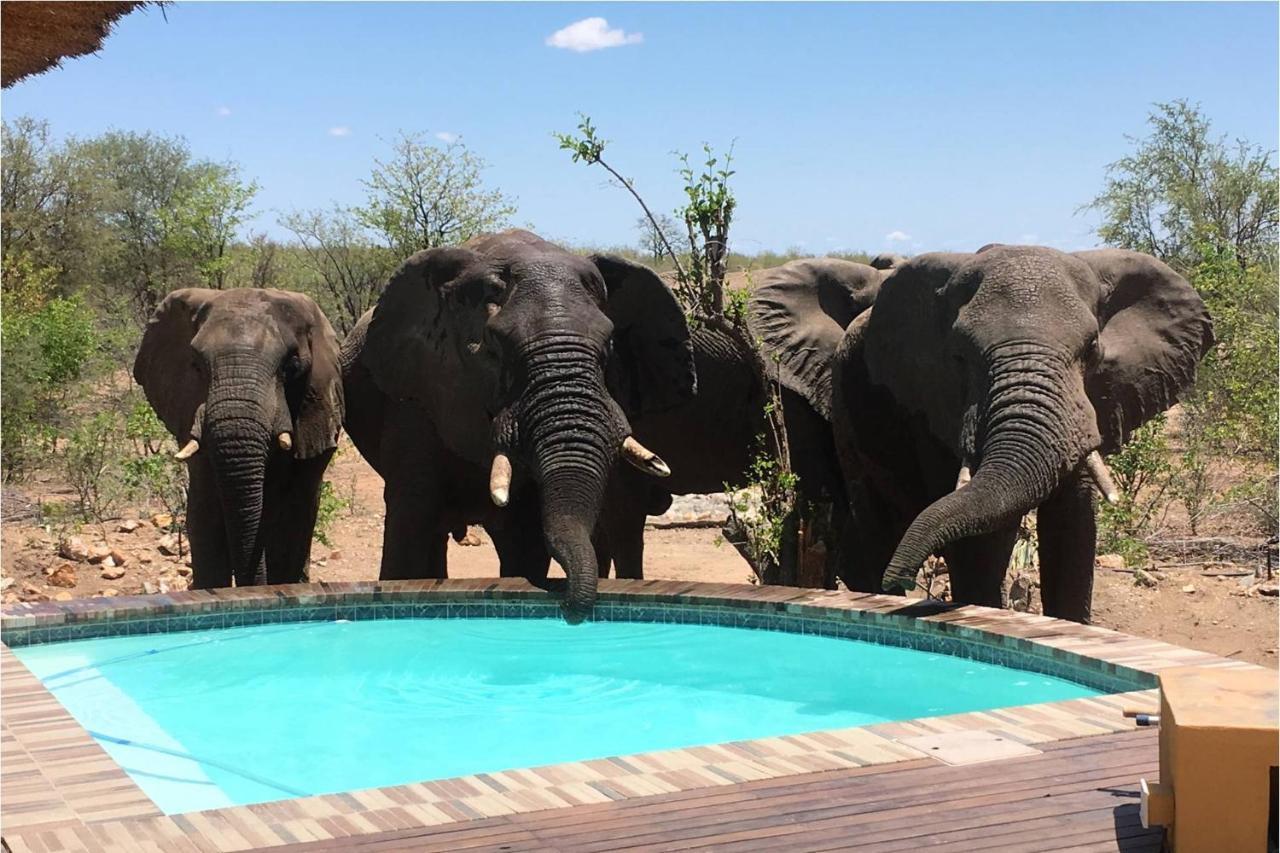 Bushvilla Umoja Kruger Phalaborwa Exterior photo